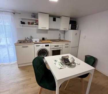 Villerupt Apartment | Studio with Garden