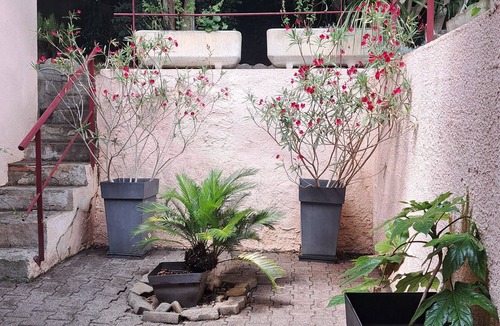 Colomiers Apartment | Studio with garden in the center of Colomiers in absolute calm.