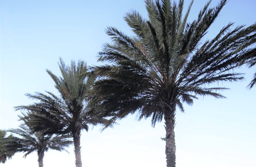 Bal Harbour Apartment | Studio with Two Queen Beds and Kitchenette, Steps away from Bal Harbour Beach