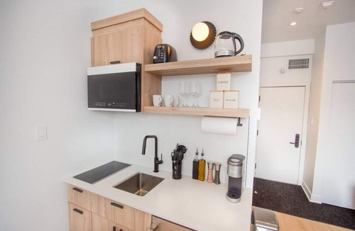 Plateau Mont Royal Apartment | Studio14/Plateau/St-Denis/Terraces/SelfCheck-In/AC