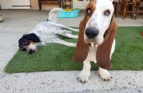 Marboz Apartment | studio3 spacieux 1à4 pers