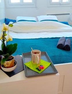 Tremblay-en-France Apartment | STUDIOCHIC PARKING Direct CDG et PARIS CENTRE Parc expo Arena Grand Paris