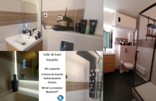 Tremblay-en-France Apartment | STUDIOCHIC PARKING Direct CDG et PARIS CENTRE Parc expo Arena Grand Paris