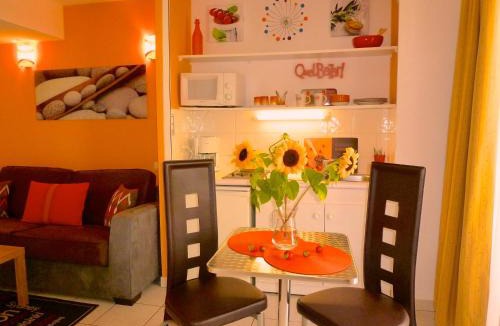 Les Baumettes Apartment | Studios Nice French Riviera