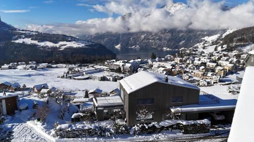 Morschach Villa | Stunning 4BDR Villa- Private Sauna & Lake View