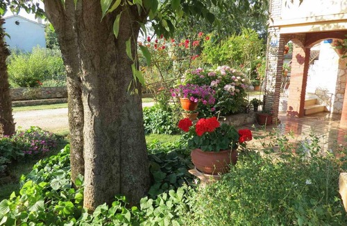Rosini Apartment | Stunning apartment in Tar-Vabriga
