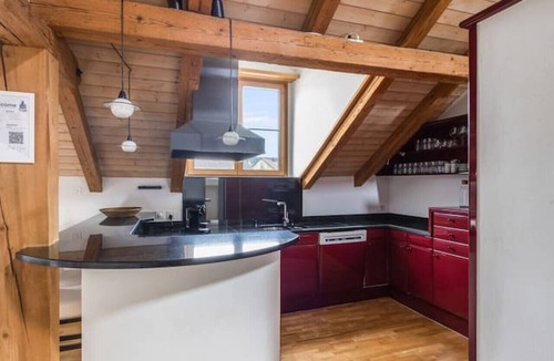 Winterthur Apartment | Stunning apartment with roof terrace
