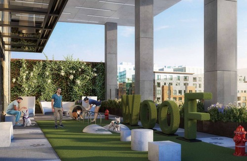 West End Apartment | Stunning Apt with City Views