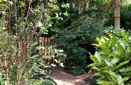 Bedford-Stuyvesant House | Stunning Brooklyn Brownstone