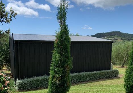 Far North District House | Stunning Coastal Olive Grove