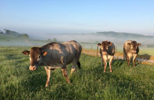 Findon House | STUNNING FARM at South Downs Rural Retreats