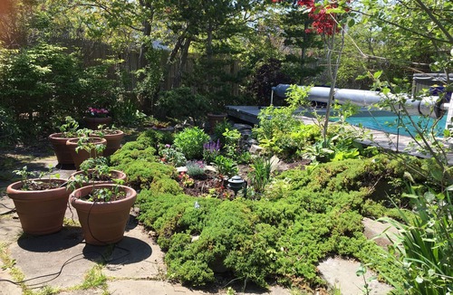 Fire Island Pines House | Stunning Fire Island Pines Oasis!