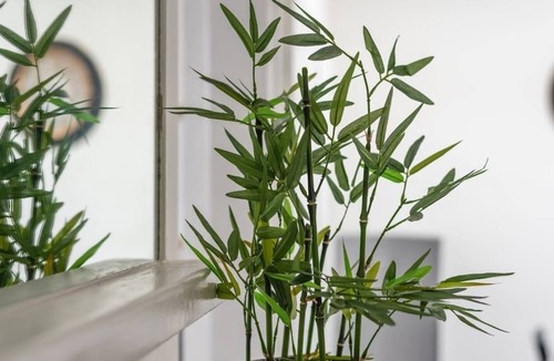 Twickenham Riverside Condo | Stunning Gem of Twickenham