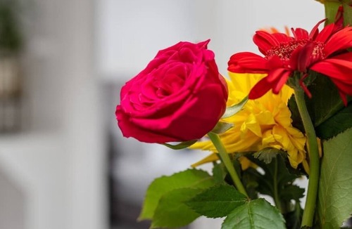 Twickenham Riverside Condo | Stunning Gem of Twickenham