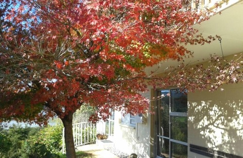 Coromandel Apartment | Stunning harbour views, peaceful location