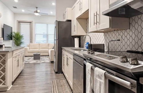 Las Colinas Apartment | Stunning Lake Views | DART Train | Gym & Pool