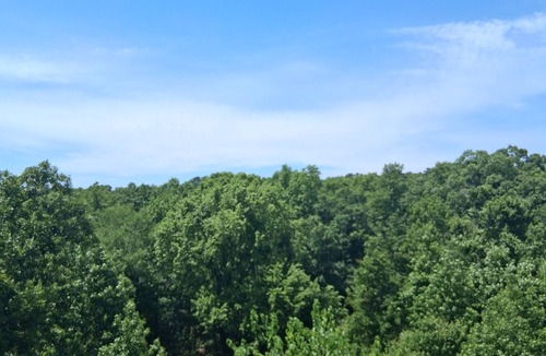 Jacksonville RV Rental | Stunning private RV spot. Bring your own rig!