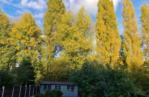 Walsall House | Stunning property with summer house