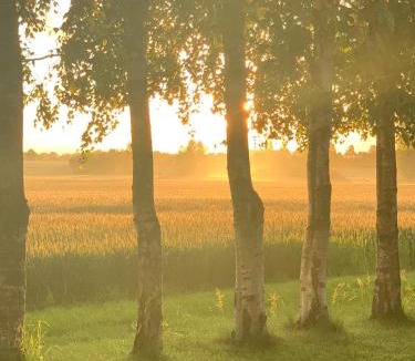 Idestrup House | Stunning Romantic Cabin close to Baltic see