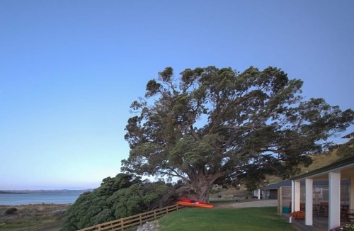 Kawhia House | Stunning secluded beach-front studio home