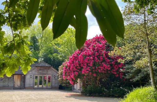Buxted Apartment | Stunning Studio Barn