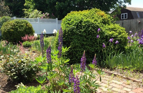 Bristol Apartment | Stunning Studio with Harbor Views - Downtown Historic District