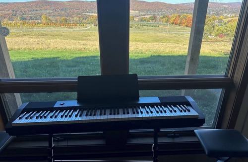 Copake Falls House | Stunning views & charming spacious 4-BR home pool and fireplace in Copake Falls