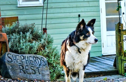 Coalbrookdale House | Stunning villa for 2 guests with WIFI, pets allowed and parking