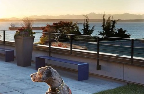 Belltown Apartment | Stylish Belltown 1BR w/Gym, nr park, by Blueground