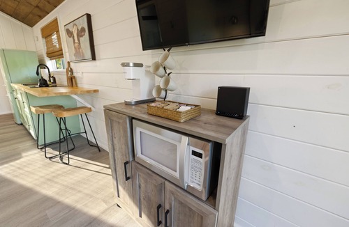 Lake City Cabin | Stylish Cabin - Nearby Springs