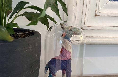 Orange House | Stylish comfort & centrally located!