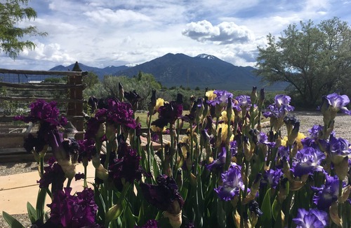 Taos Apartment | Stylish comfortable suite. Awesome Mountain Views!