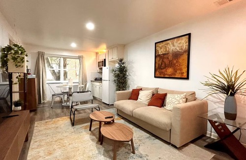 Braeswood Place Apartment | Stylish Cozy 1BR Near NRG Stadium + Fast WiFi & Free Parking