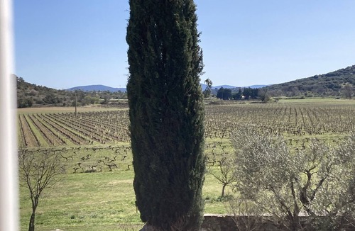 Brissac Apartment | Stylish duplex on an award-winning vineyard; shared pool; close to the Cevennes