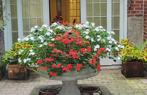 East Credit House | Stylish Garden Suite Near Pearson Airport | Between Toronto and Niagara Falls