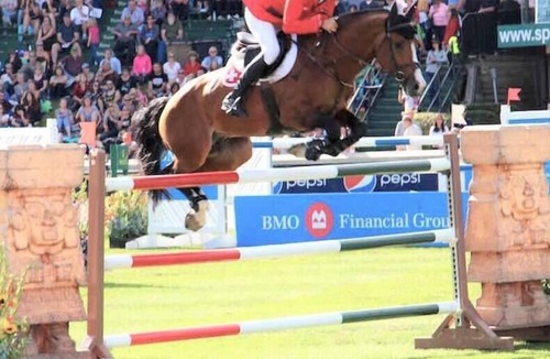 Southwest Calgary House | Stylish Getaway by Park ✔ 2xGarage