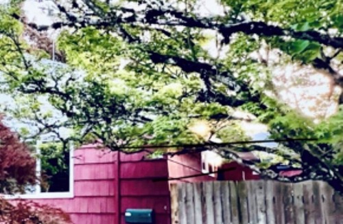 Northeast Neighbors House | Stylish Mid Century Modern- 1 hour from Oregon Coast