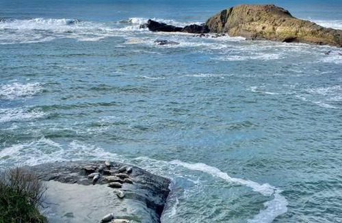 Depoe Bay House | Stylish Oceanfront Cottage Overlooking Pirate Cove
