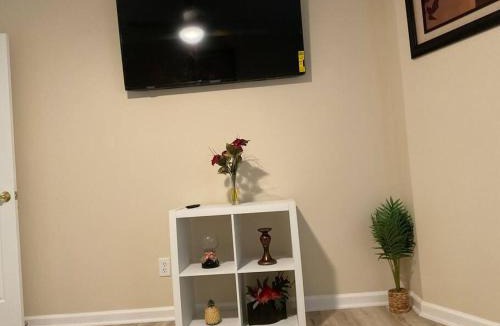 Lawrenceville House | Stylishly designed basement.