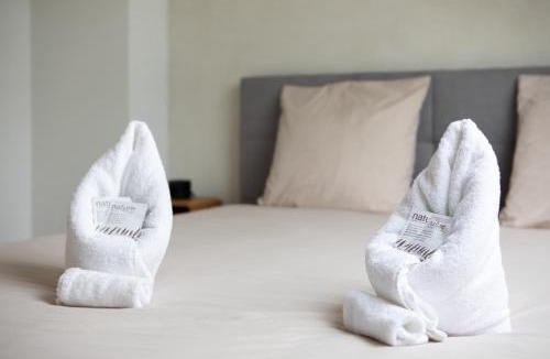 Belfort Apartment | Sublime Loft, Spa & Sauna - Idéal à Belfort