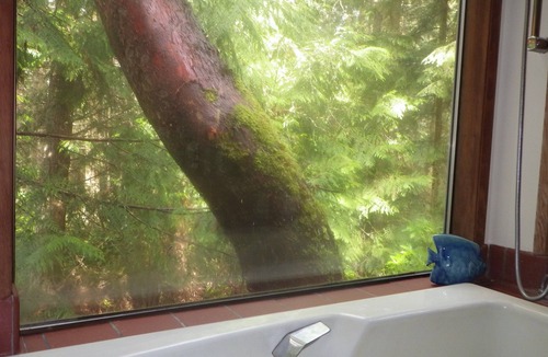 Adelma Beach Cabin | Sublime Port Townsend Retreat