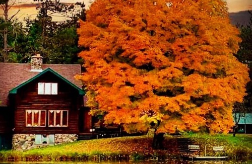 Park Falls House | Sugar Maple at Hansen Lake