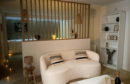 Saint-Aubin-d'Aubigne Apartment | Suite Banjar-Luxe,Balnéo & Sauna