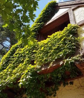 Navacerrada Ski Chalet | Suite de montaña independiente en Navacerrada