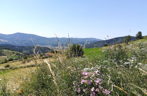 Vanosc Bed & Breakfast | Suite- Duo