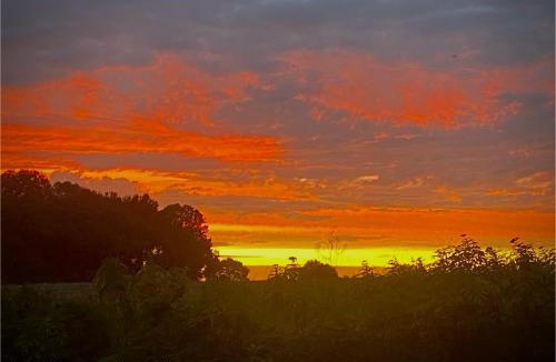 Rouvre Bed & Breakfast | Suite familiale Namaste