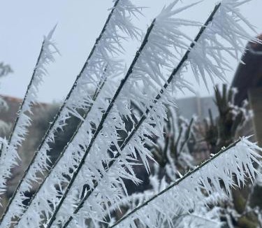 Rouvre Bed & Breakfast | Suite familiale Namaste