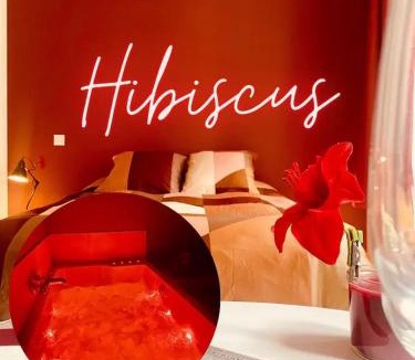 Montargis Apartment | Suite Hibiscus - Cocon Romantique & Jacuzzi Privé