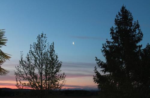 Auriebat Bed & Breakfast | Suite Jomenisa