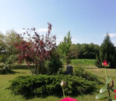 Auriebat Bed & Breakfast | Suite Jomenisa